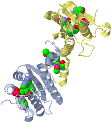 Image Biological Unit 5