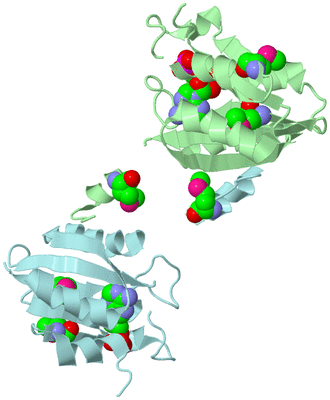 Image Biological Unit 6