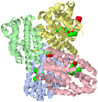 Image Asym./Biol. Unit