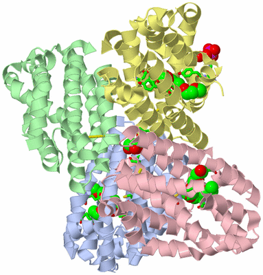 Image Asym./Biol. Unit - sites