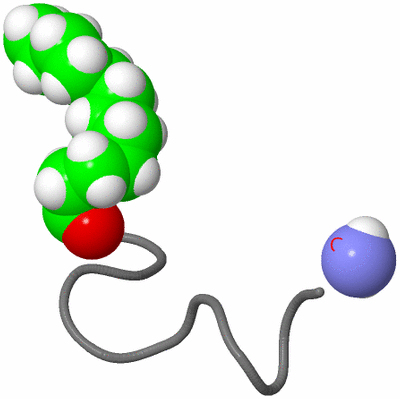 Image NMR Structure - model 1