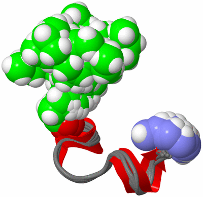 Image NMR Structure - all models