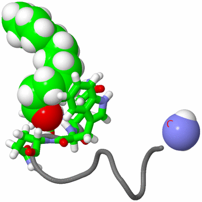 Image NMR Structure - model 1, sites