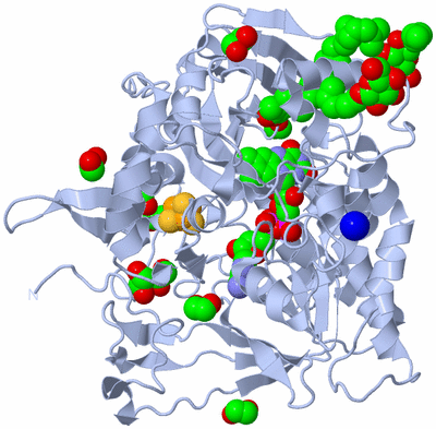 Image Biological Unit 1