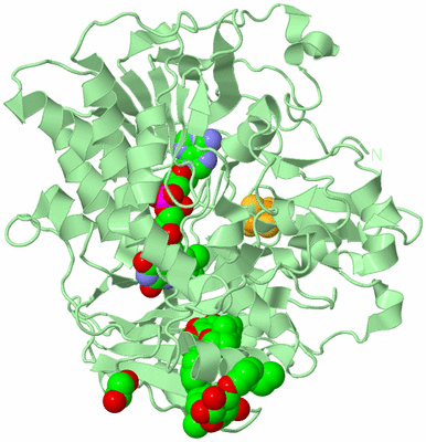 Image Biological Unit 2