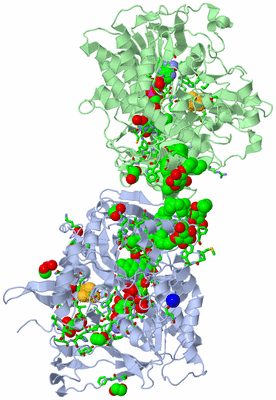 Image Asym. Unit - sites