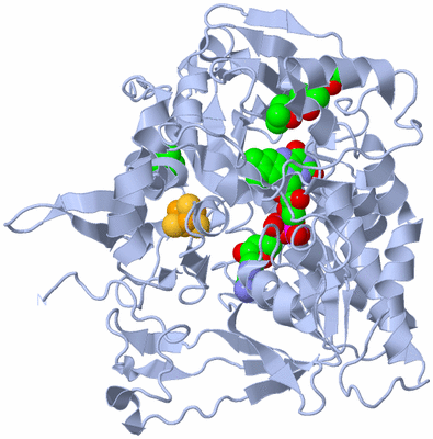 Image Biological Unit 1