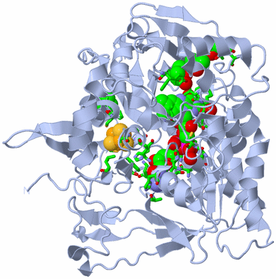 Image Biol. Unit 1 - sites