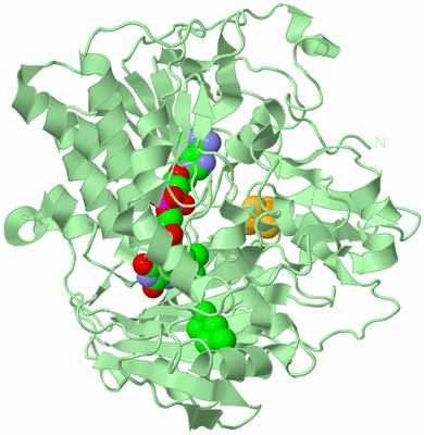 Image Biological Unit 2