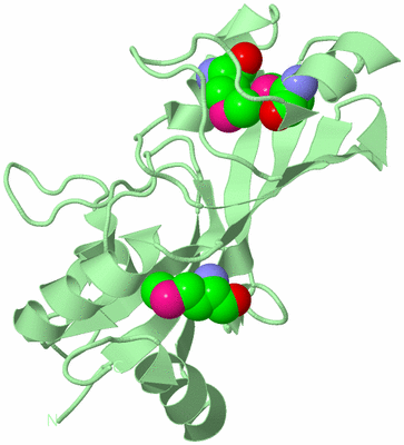 Image Biological Unit 2