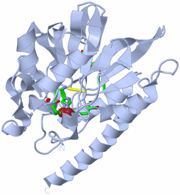 Image Biol. Unit 1 - sites