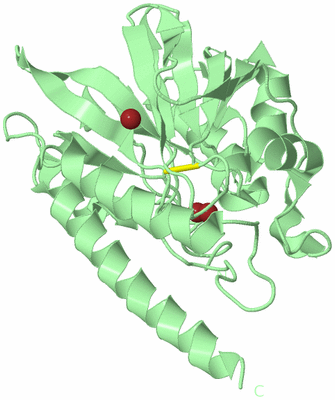 Image Biological Unit 2