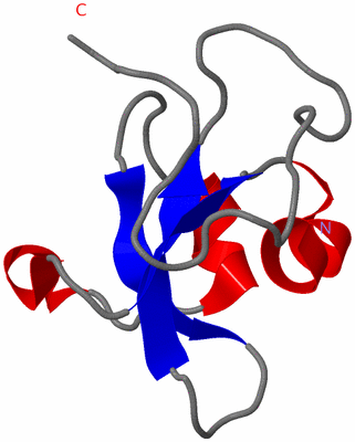 Image NMR Structure - model 1