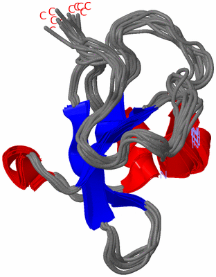 Image NMR Structure - all models