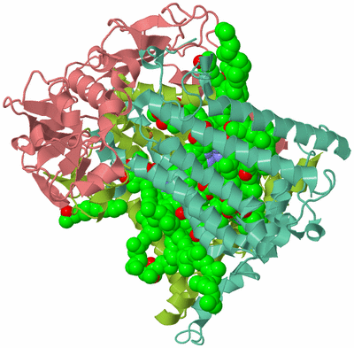 Image Asym./Biol. Unit