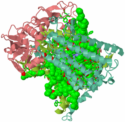 Image Asym./Biol. Unit - sites