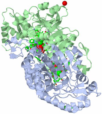 Image Asym./Biol. Unit - sites