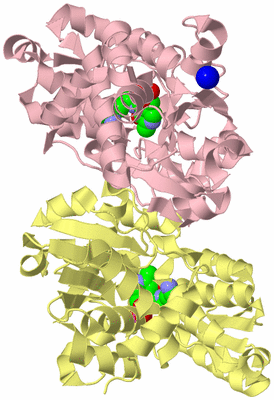 Image Biological Unit 2