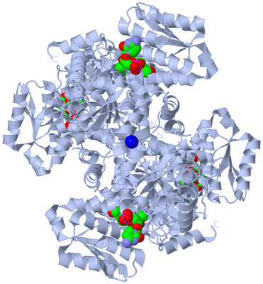 Image Biological Unit 1