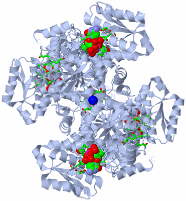 Image Biol. Unit 1 - sites