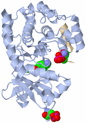 Image Asym./Biol. Unit