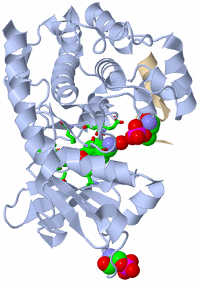 Image Asym./Biol. Unit - sites