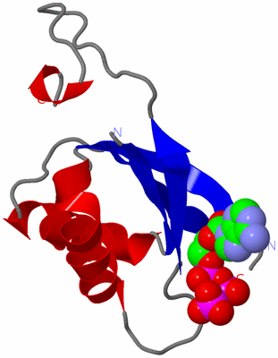 Image Asymmetric Unit