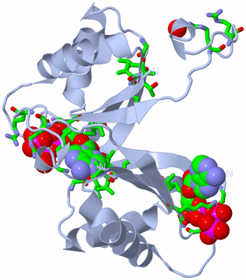 Image Biol. Unit 1 - sites