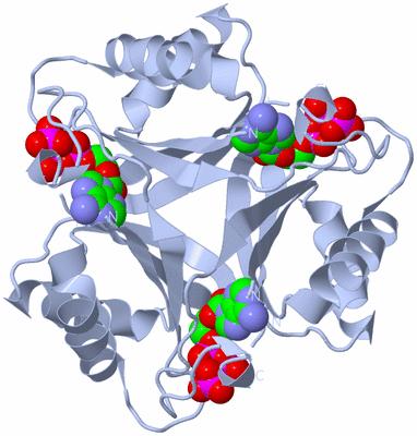 Image Biological Unit 2