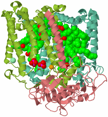 Image Asym./Biol. Unit