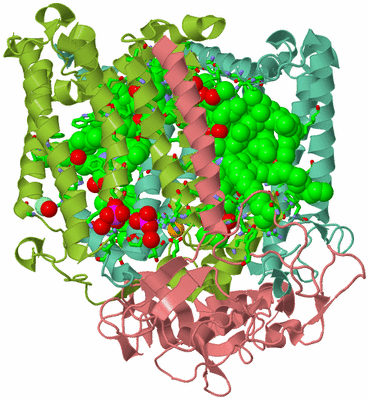 Image Asym./Biol. Unit - sites