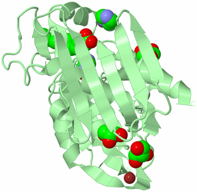 Image Biological Unit 2