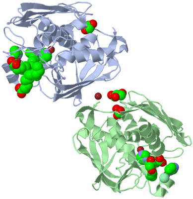 Image Biological Unit 3