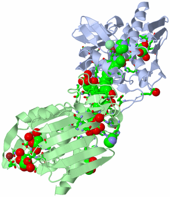 Image Asym. Unit - sites