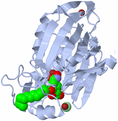 Image Biological Unit 1