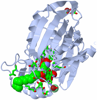 Image Biol. Unit 1 - sites