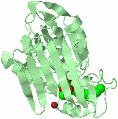 Image Biological Unit 2