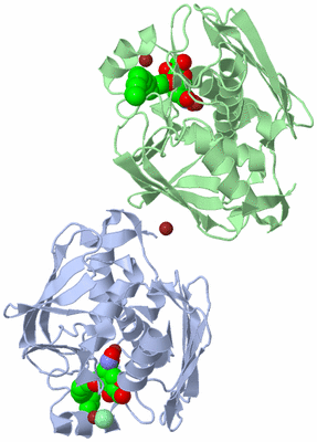 Image Biological Unit 3