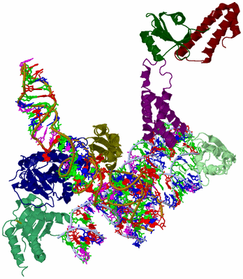 Image Asym./Biol. Unit