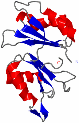 Image NMR Structure - model 1