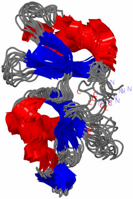 Image NMR Structure - all models