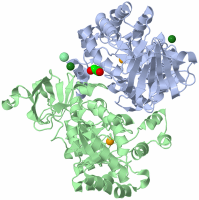 Image Asym./Biol. Unit