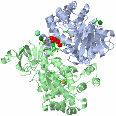 Image Asym./Biol. Unit - sites