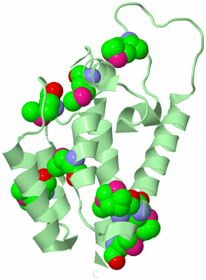 Image Biological Unit 2