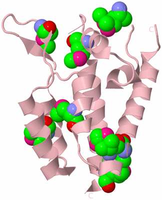 Image Biological Unit 3