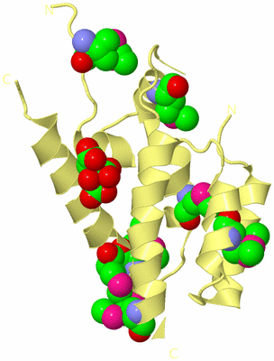 Image Biological Unit 4