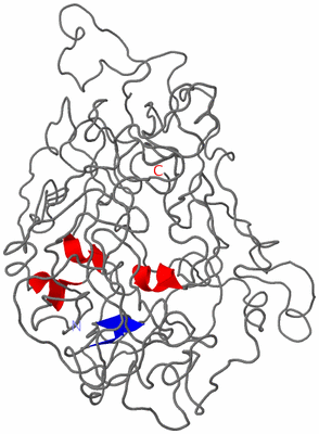 Image Theoretical Model
