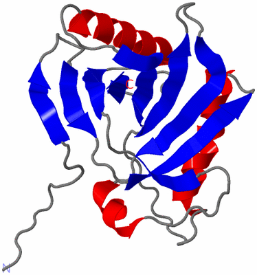 Image NMR Structure - model 1