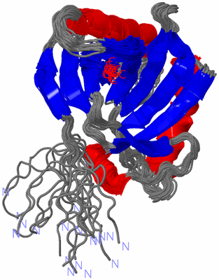 Image NMR Structure - all models