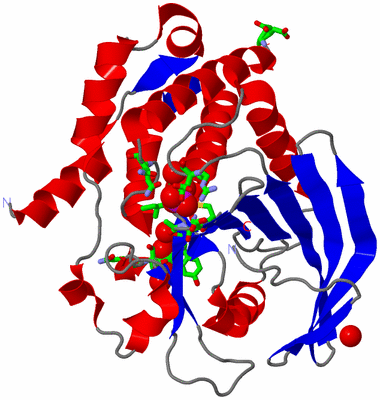 Image Asym./Biol. Unit - sites